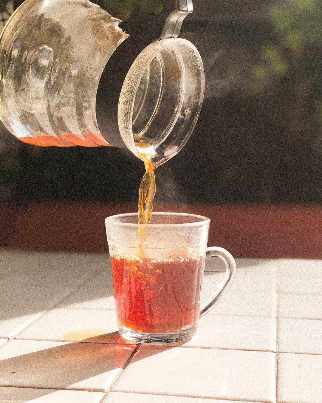 V60-MICROLOTE